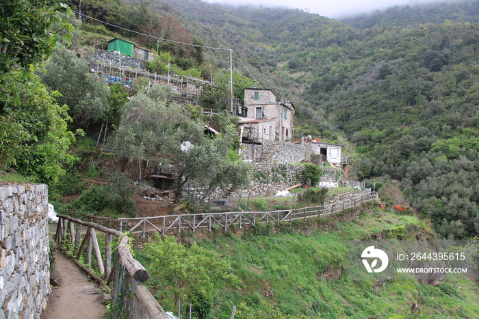 Hiking the Cinque Terre | From Monterosso al Mare to Vernazza