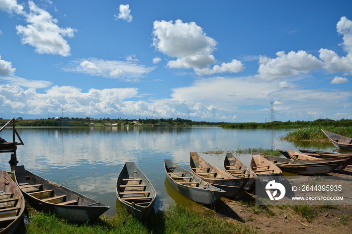 Wooden boats lined up on the shoreline of Lake Victoria, Uganda.