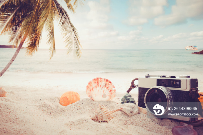 The concept of leisure travel in the summer on a tropical beach seaside. retro camera on the sandbar with starfish, shells, coral on sandbar and blur sea background.  vintage color tone styles.