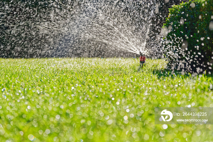 Turf irrigation by automatic pop-up sprinkler