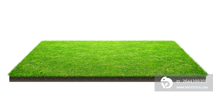 Green grass field isolated on white with clipping path. Sports field. Summer team games.