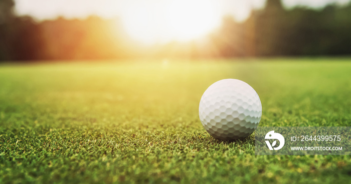 golf ball on green grass sunset background