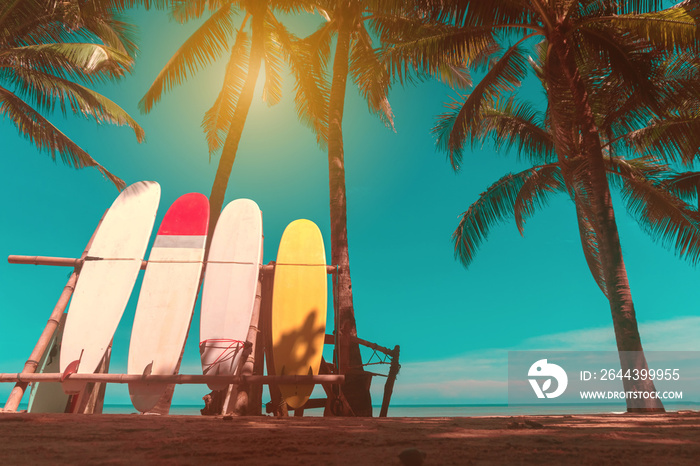 Many surfboards beside coconut trees at summer beach with sun light and blue sky background.