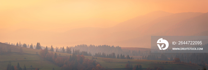 Beautiful autumn scenery of foggy valley at Carpathian mountains at early morning before sunrise. Grass hill with yellow trees on foreground.