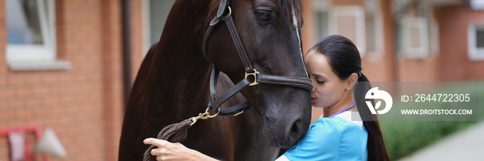 Woman veterinarian conducts medical examination of sports horse