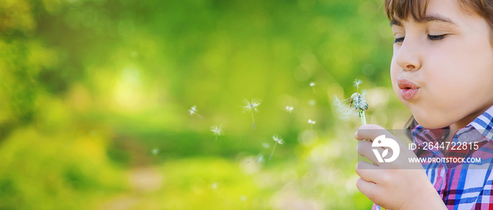 Child girl with dandelions in the park. Selective focus.