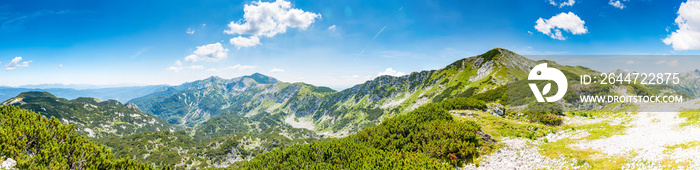 Tourist path in Slovenia mountains near Vogel. Path of top of mountain, green grass, tress, blue sky. Hiking in Europe. Triglav national park, Julian Alps.