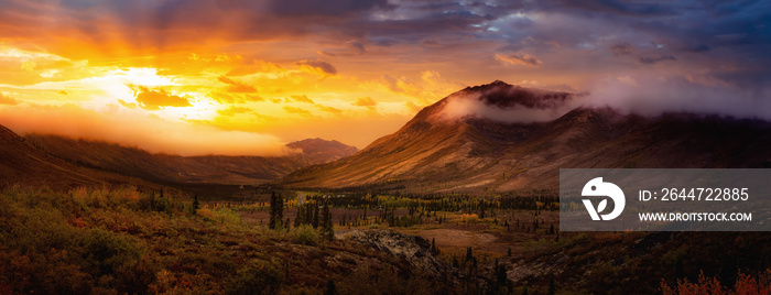 Beautiful Panoramic View of Colourful Fall Forest and Mountains in Tombstone. Sunset or Sunrise Sky Composite. Tombstone Territorial Park, Yukon, Canada. Nature Background Panorama