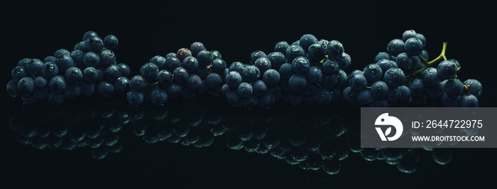 Close up beautiful fresh vine blue grapes on a black glass table and dark background