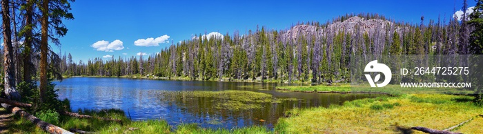 Lake Cuberant hiking trail views of ponds, forest and meadows with Bald Mountain Mount Marsell in Uinta Mountains from Pass Lake Trailhead, Utah, United States.