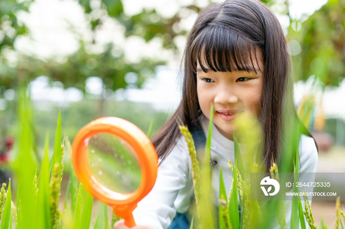 小女孩拿着放大镜观察植物