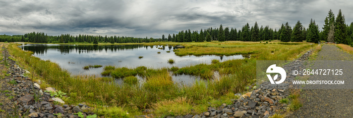 Mountain lake in the forest panorama