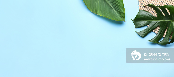 Green tropical leaves on light blue background with space for text