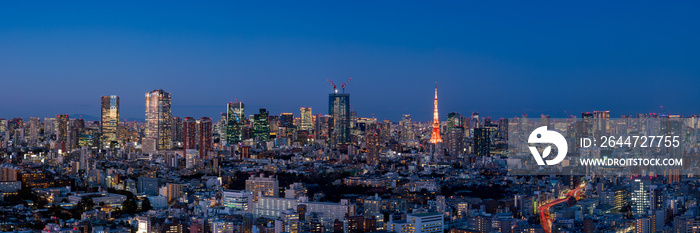 Magic hour cityscape of Tokyo central area.