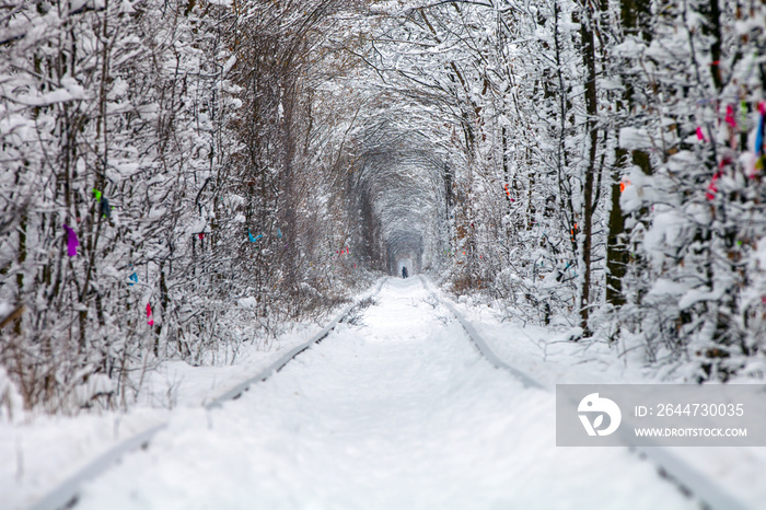 a railway in the winter forest tunnel of love