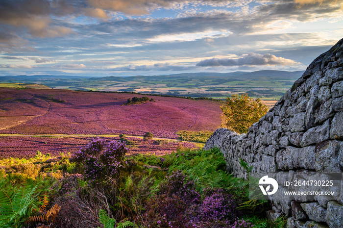 Ros Castle view looking south, also known as Ros Hill, due to an ancient prehistoric Hillfort on its summit, located near Chillingham in Northumberland and has great views all around it