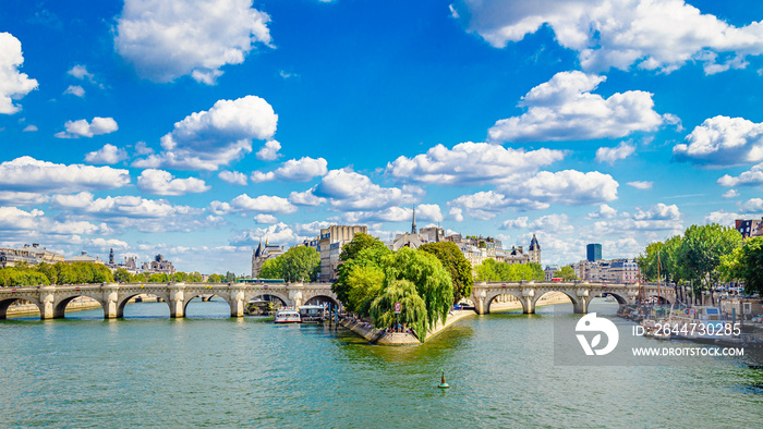 Pont Neuf, the oldest bridge in Paris France and the River Seine on a sunny day