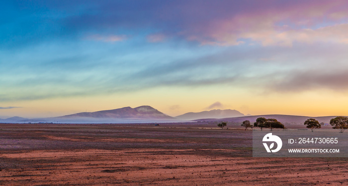 Flinders Ranges peaks and gum trees covered by low morning clouds at colorful sunrise in South Australia