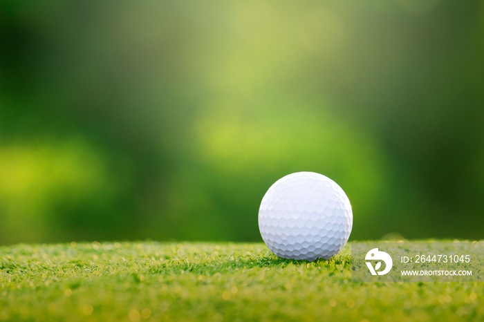 golf ball is on a green lawn in a beautiful golf course