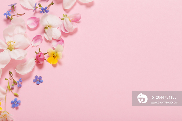 spring flowers on pink background