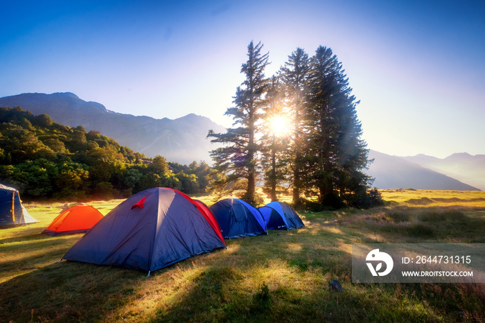 Campsites are places to relax, enjoy and explore the outdoors. Many campsites are found in New Zealand. Choose from alpine forest, lakeshores and sandy beaches. This is popular among nature-lovers.