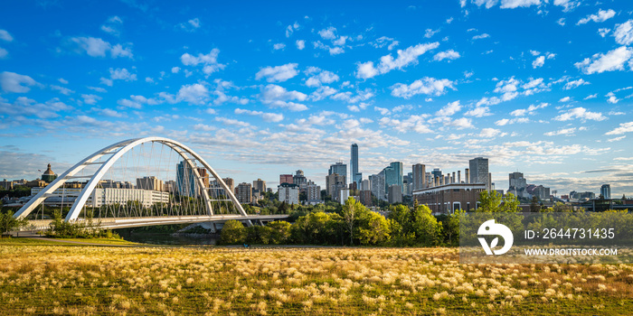 Walterdale Bridge and Edmonton skyline over the wild plants blooming at Queen Elizabeth Park in Alberta, Canada