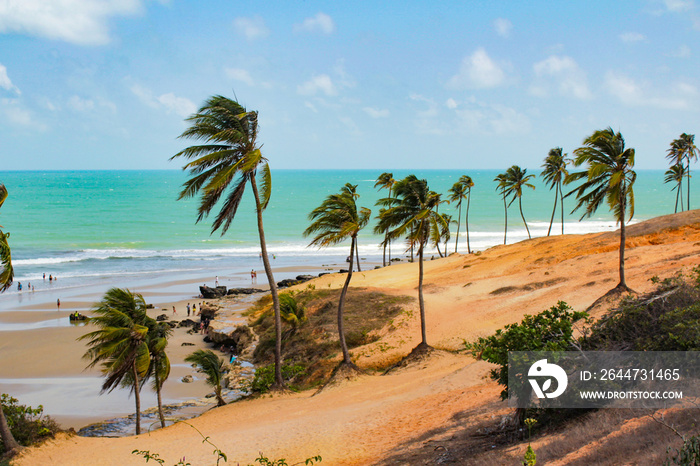 Tourist Beach, Paraipaba in Ceara, Northeast Brazil. Sunny day, weekend, beach holidays, hot summer. Sea and blue sky. Beautiful sunny day. Relaxing nature. Typical vegetation, with palm trees