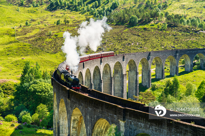 Glenfinnan Railway Viaduct in Scotland with the steam train passing over