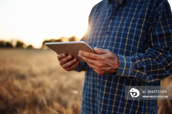 Farmer checking the progress of the harvest with the tablet at the middle of the folden wheat field. Technologies help agricultural workers to keep track of new season crop. Agronomists and gadgets.