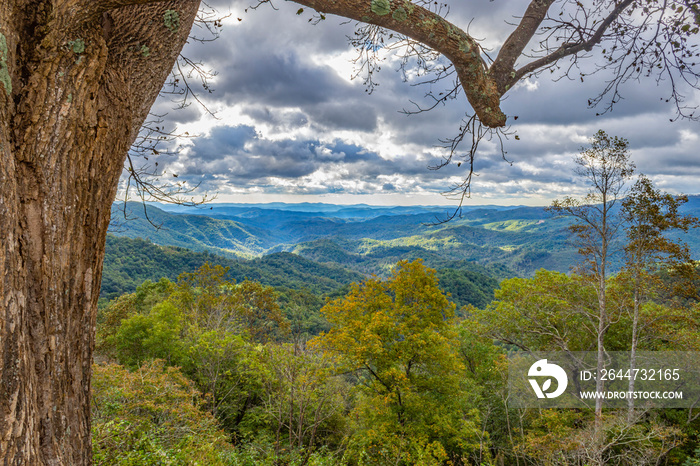 ; view from the third Overlook on the Blue Ridge Pkwy. North Carolina south of Highway 421. Blue Ridge Mountains looking east on an early morning as summer is ending and fall is just beginning. The la