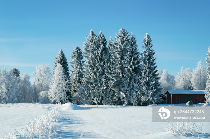 Village Cottage at Snowy winter Finland