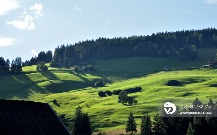 Lawns of Braies in the grazing light at the end of the day