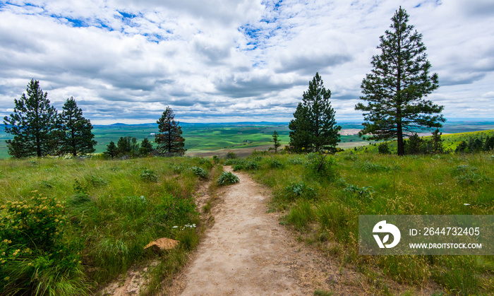 Kamiak Butte County Park | Pullman | Washington