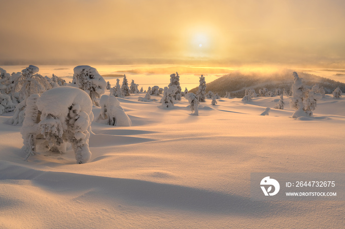 Natural scenery in winter, cold winter in Europe, snow-covered forest. Finland, a popular tourist destination in Europe.