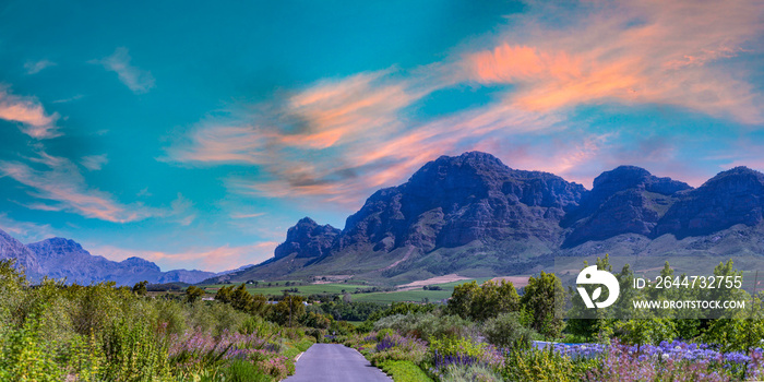 Panorama shot of Franschhoek wine valley with flowers and blue sky in Western Cape South Africa