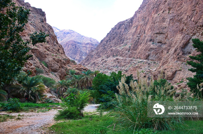 Wadi Shab - one of the most beautiful wadi in Oman