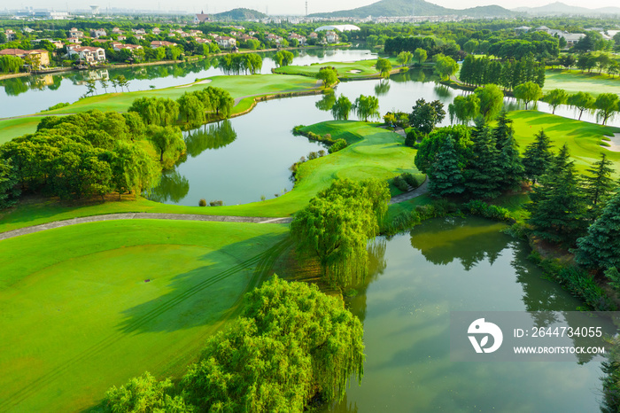 Aerial view of green grass and tree on golf course.