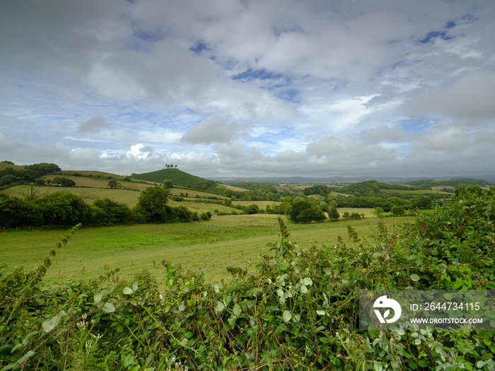 View of Cowlie’s Hill near Bridport, Dorset, UK