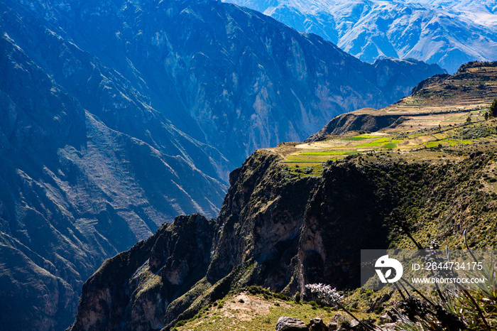 View of Colca Canyon in Peru. It is one of the deepest canyons in the world. Beautiful nature in latin America.