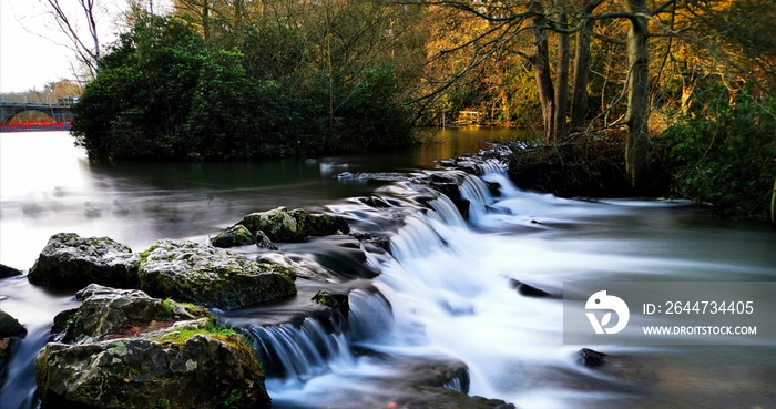 river in forest