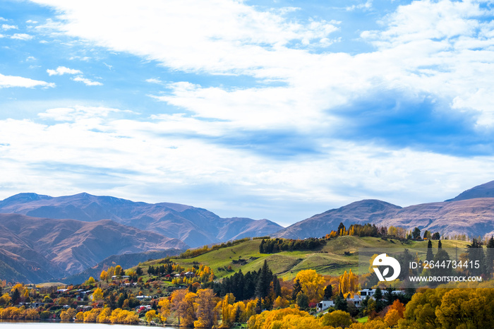 Beautiful landscape of autumn trees and house in a town in rural area.