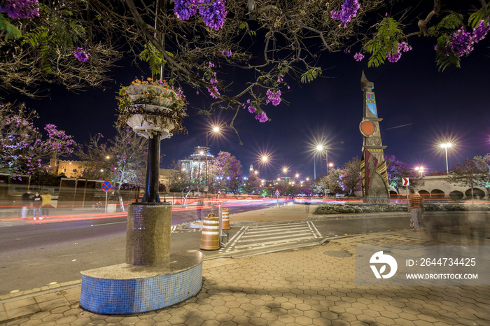 The beautiful lavender garden during summer, Art street, Abha, Saudi Arabia