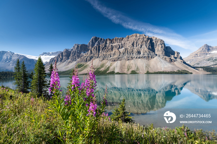 Bow lake, Banff National Park, Alberta, Canada