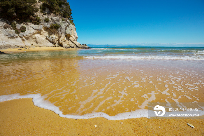 New Zealand coast