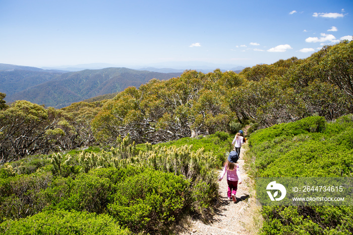 Mount Buller Walking and Biking Trails in Summer