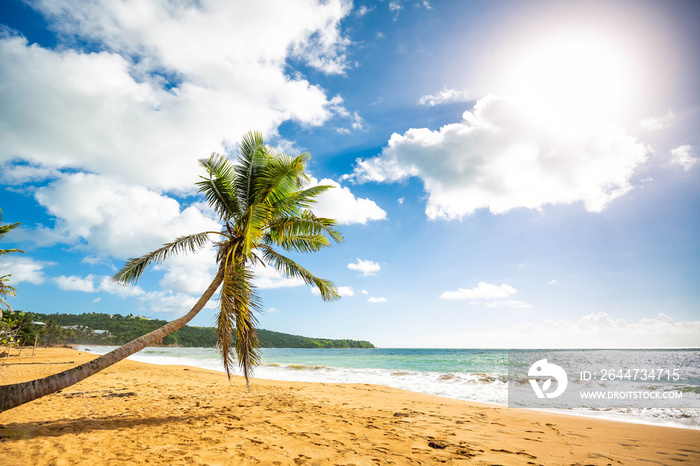 Exotic carribean shore of Puerto Rico Flamenco beach