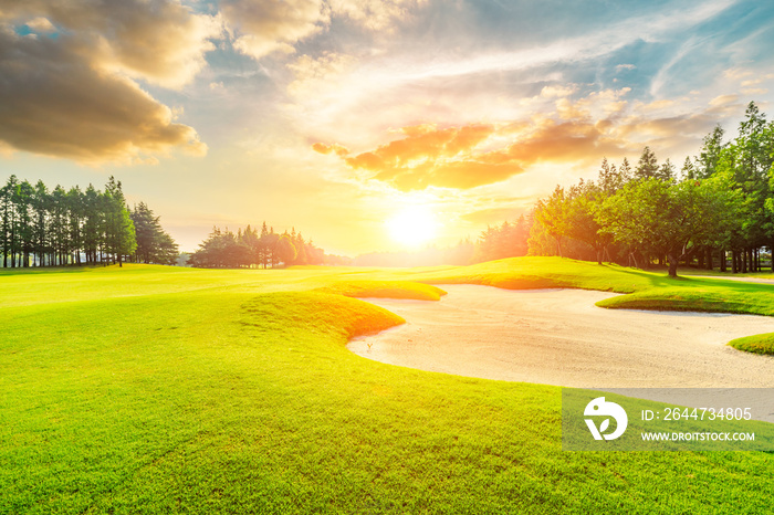 Green grass and tree on the golf course.