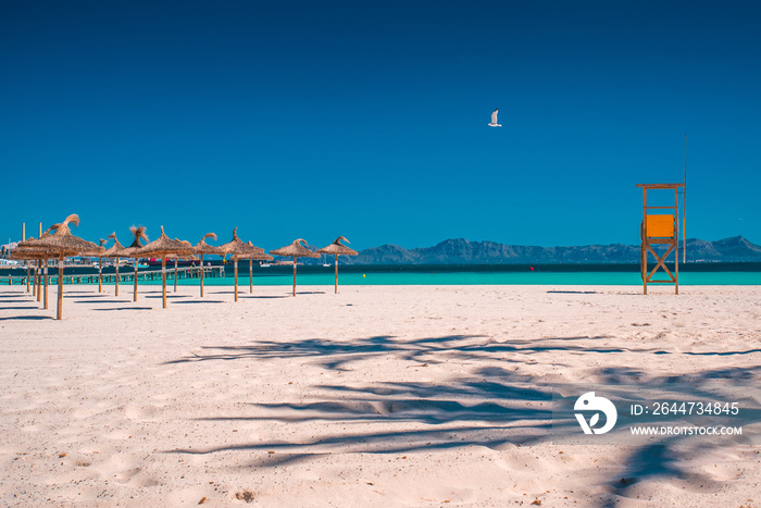 Majorca Platja de Muro beach in Alcudia bay in Mallorca Balearic islands of Spain