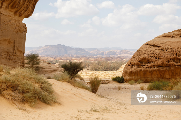 Landscape in Al Ula, Saudi Arabia