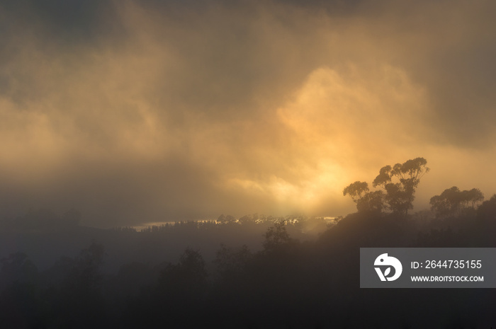 Climate change apocalyptic landscape with orange smoke from burning forests